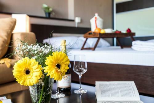 Balkan-inn Studio Centar Apartment