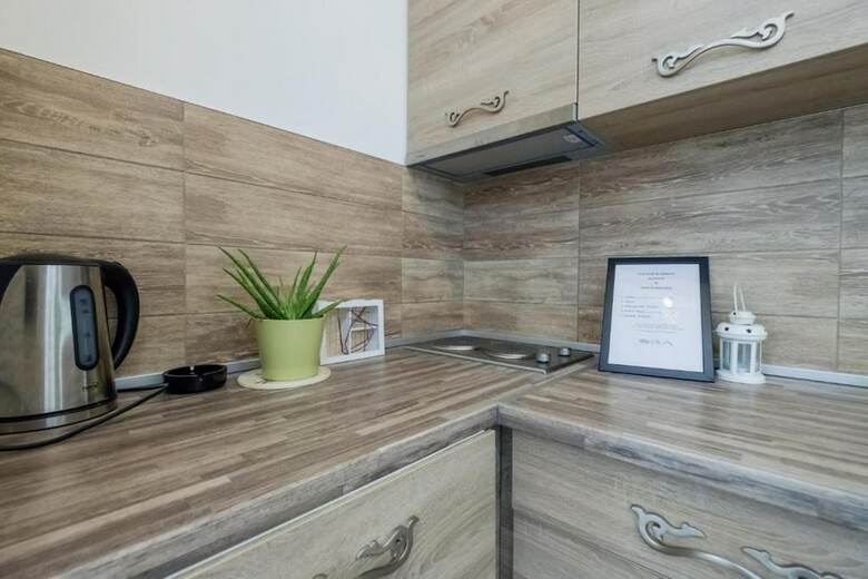 Central Business Apartment Exclusive