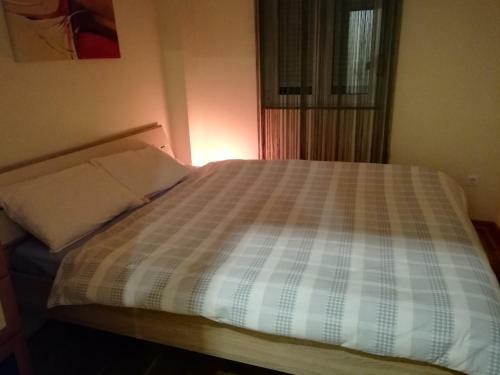 Shumice Apartment