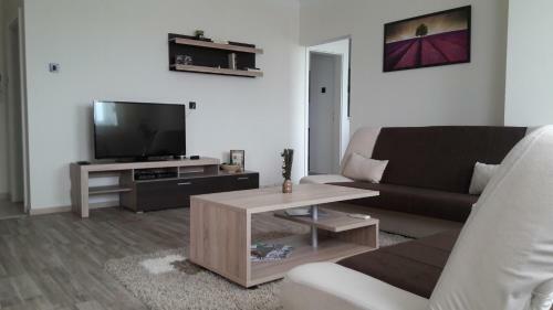 Arena Center Apartment