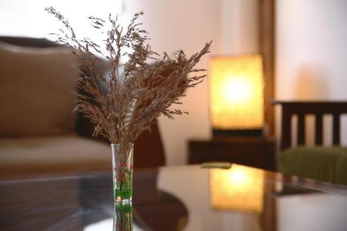 Apartamento Minas Stylish Flat In Beograd