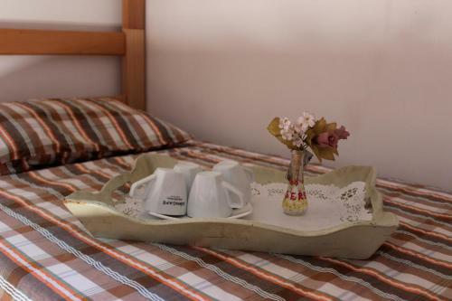Bicycle Belgrade Hostel