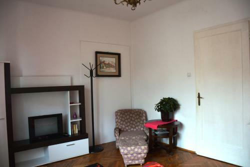 Cozy Downtown Apartment
