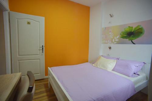 Albergue Stella Di Notte