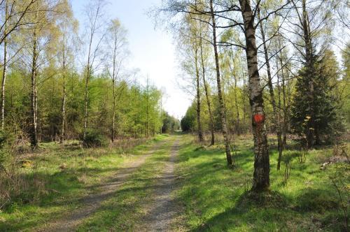 Albergue Stf Vandrarhem Blentarp