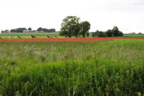 Agroturismo �ngag�rden