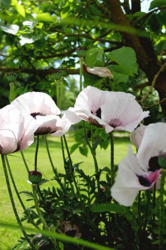 Agroturismo �ngag�rden