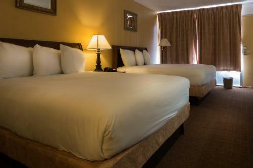 Motel Calloway Inn And Suites