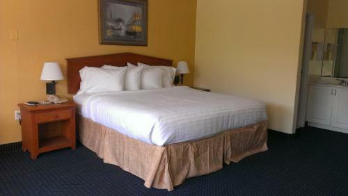Motel Calloway Inn And Suites