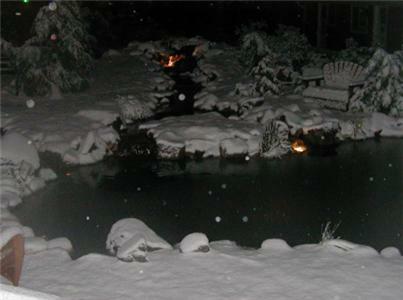 Posada Silver Pines Lodge