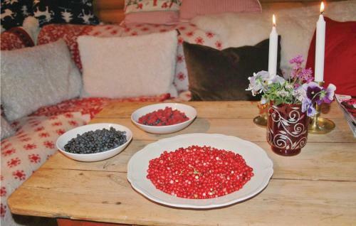 Holiday Home Anolfsbyn Mellerud II