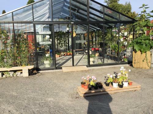 Albergue Edelviks Hotell & Vandrarhem