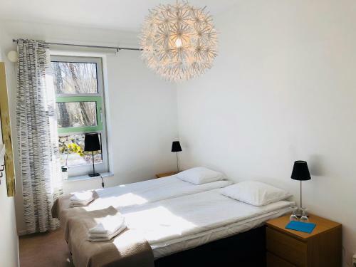 Albergue Iv�g�rden