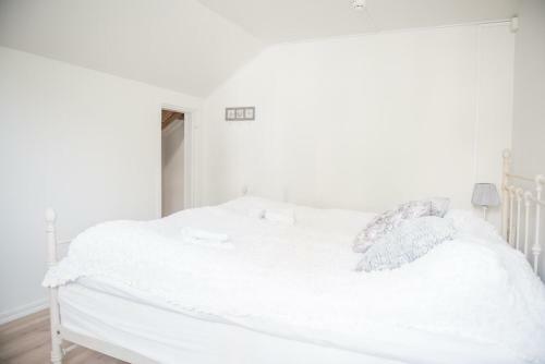 Hostal Villa Evalotta