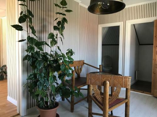 Dons�hus B&B Konferens
