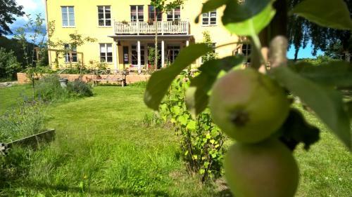 Lidhem B&B And Holiday Apartments