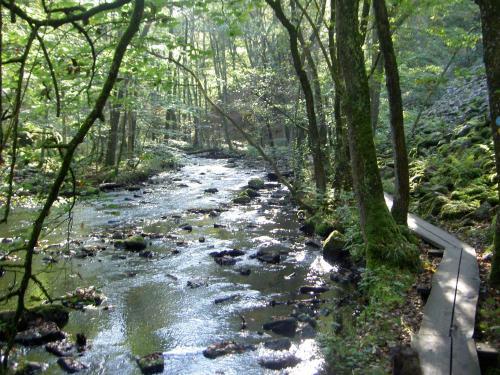 Sk�ralids Camping