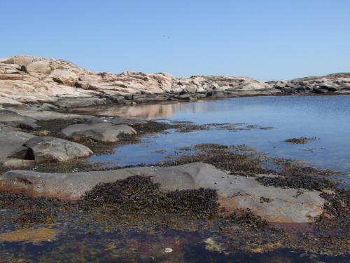 Hotell Fisket�ngen