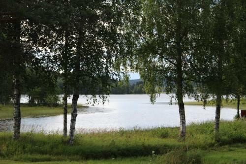 Apartamento L�v�s G�rd Koppera