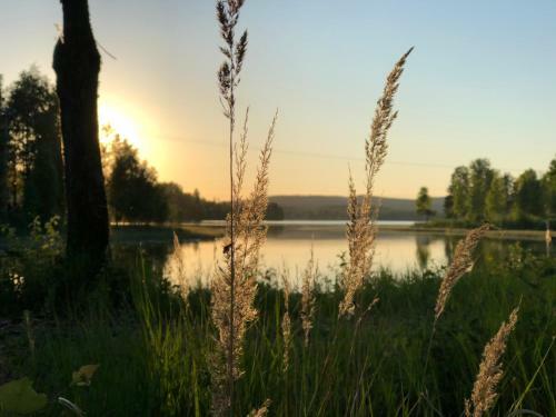 Apartamento L�v�s G�rd Koppera