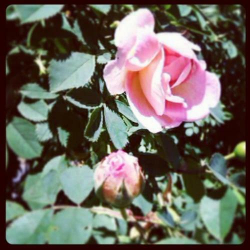 Bed & Breakfast Elisetorp