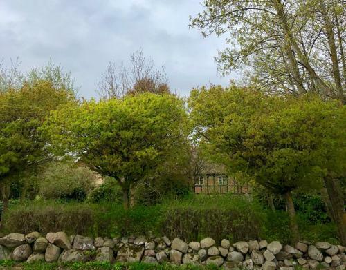 Bed & Breakfast Cilias Mat & Rum Killeg�rden P� Kivik