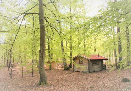 Lodge Bokebacken