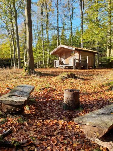Lodge Bokebacken