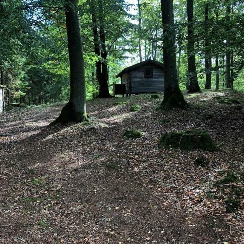 Lodge Bokebacken