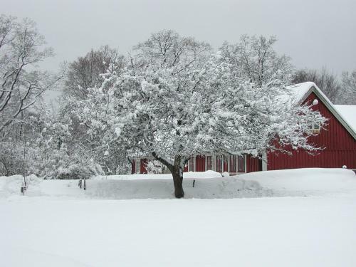 Lodge Bokebacken