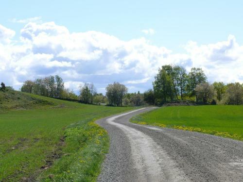 Stf Lugn�sberget Hostel