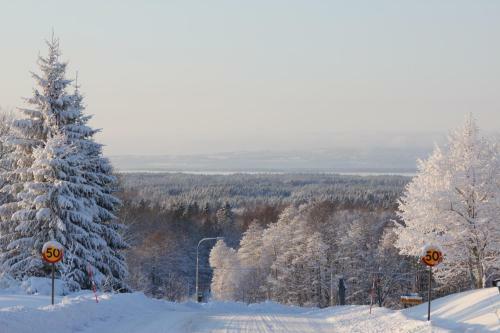 Stf Lugn�sberget Hostel