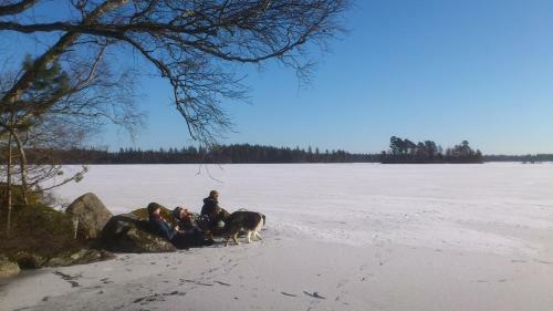 Stf Lugn�sberget Hostel