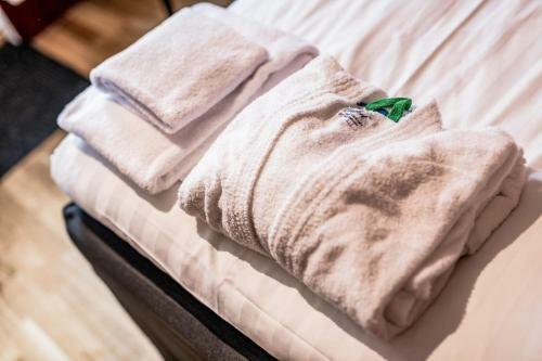 H�llsn�s Hotell & Konferens