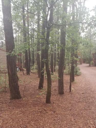 Northwoods Resort Cabins