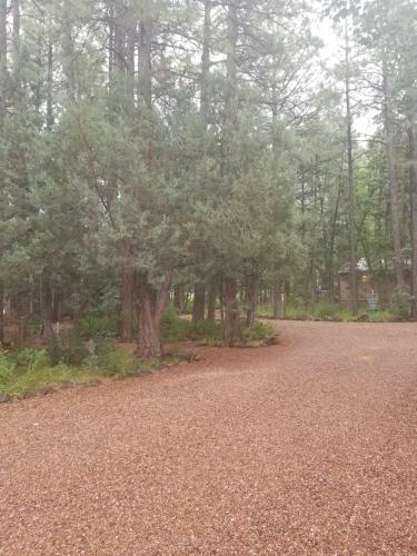 Northwoods Resort Cabins