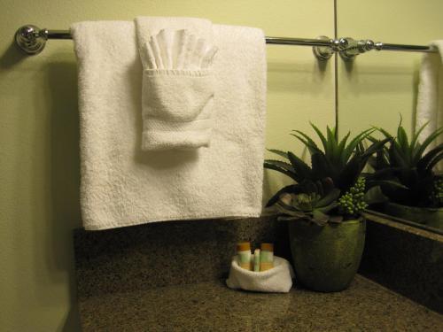 Posada Anacortes Ship Harbor Inn