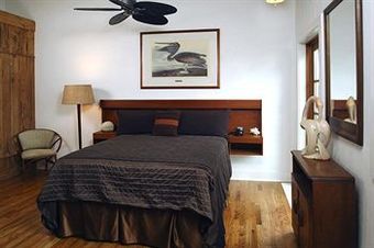 Posada Black Dolphin Inn