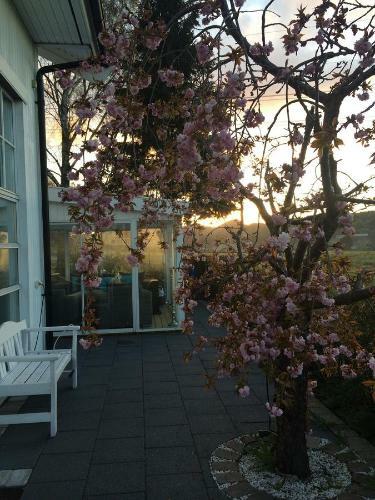 B&B Ale Tingstad