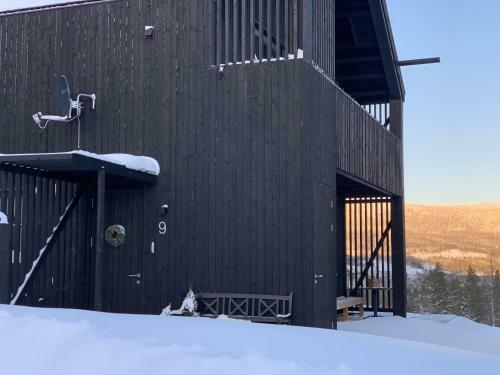 Hotel Mountain Lodge