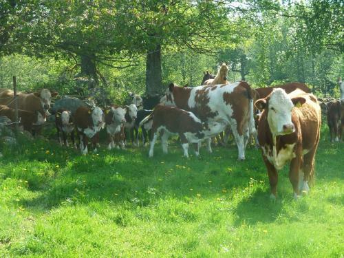 Agroturismo H�ryda G�rd