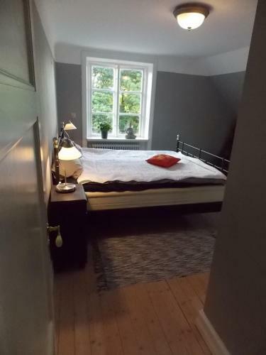 Hostal The Garden Hill Hotel
