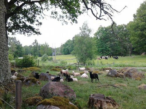 Agroturismo Bitterna �katorp