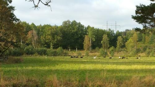 Agroturismo Bitterna �katorp