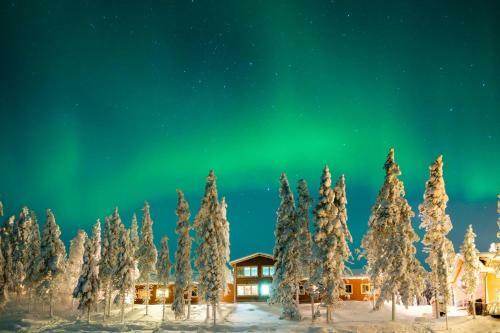 Hotel Pinetree Lodge
