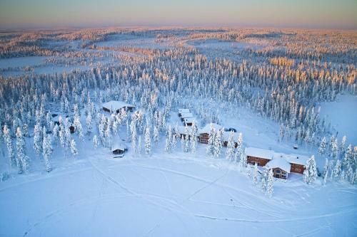 Hotel Pinetree Lodge