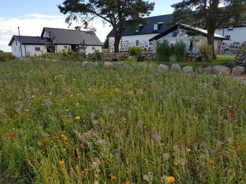 Hotel B�stekille G�rdshotell