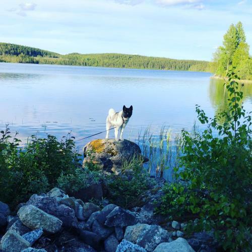 Holiday Home R�dvattnet