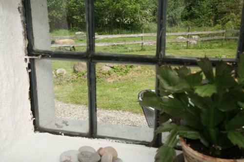 Apartamento Stenrosg�rden