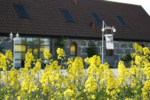 Hostal Bl�singsborgs G�rdshotell